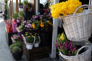 Scarecrow Flowers_2742