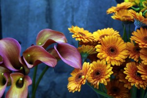 Scarecrow Flowers_2769