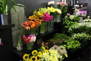 Scarecrow Flowers_2771